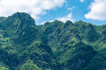 青山