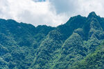 青山