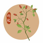 枸杞