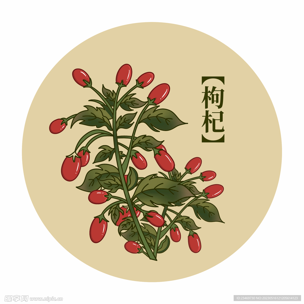 枸杞