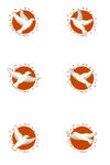 鸽子