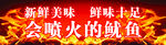 火爆鱿鱼