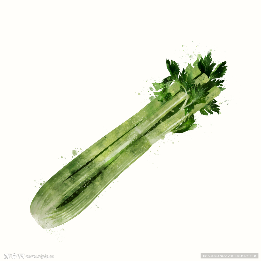 芹菜