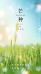 小满 芒种