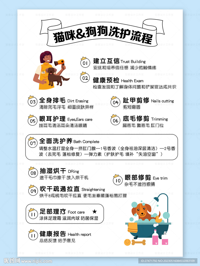 宠物美容海报