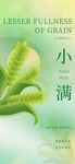小满海报