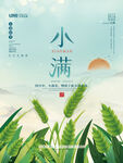 小满节气海报