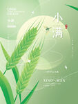 小满节气海报