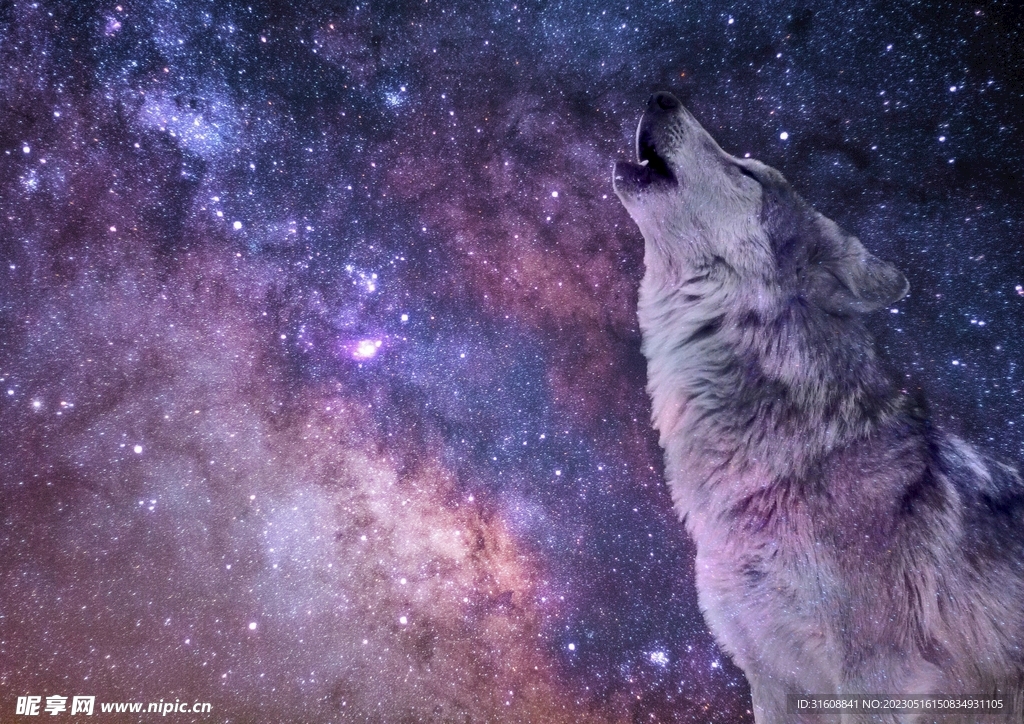 星空星云星河