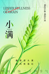 小满节气