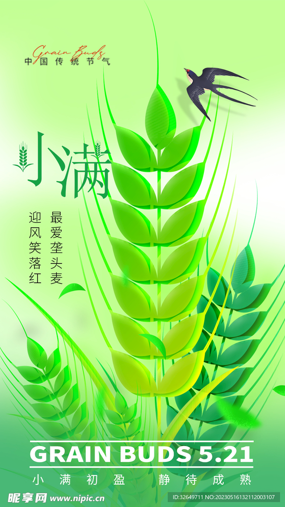 小满节气 