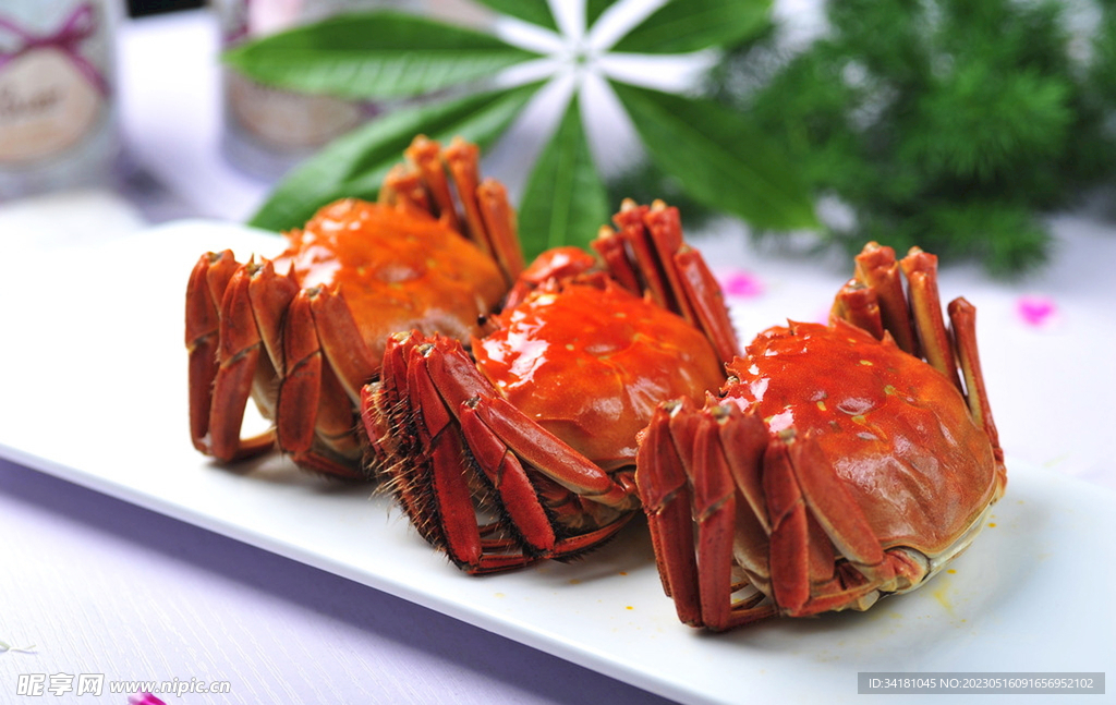 大闸蟹美餐