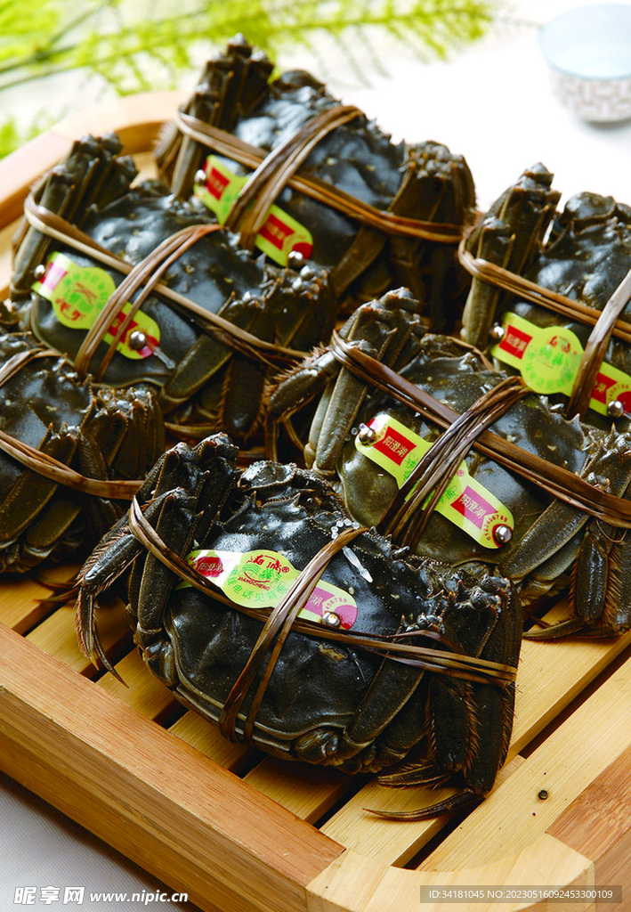 大闸蟹美食