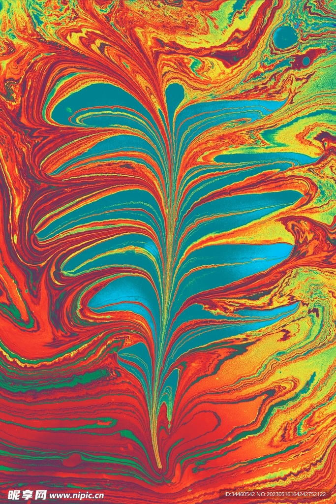 画
