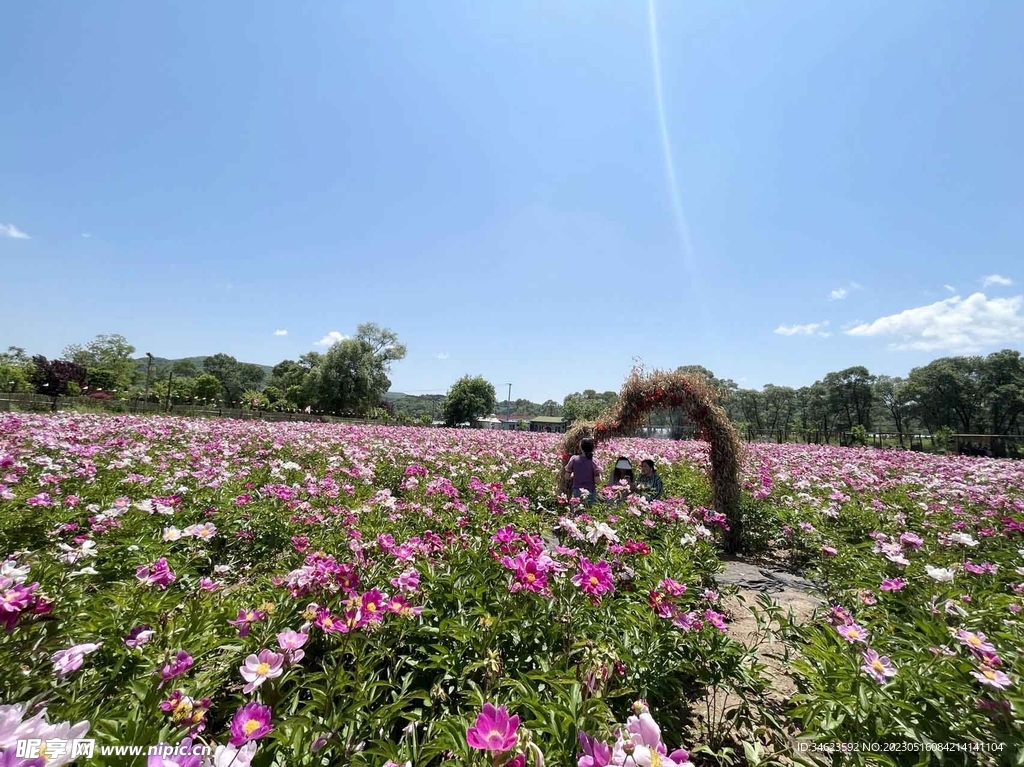 美丽风景