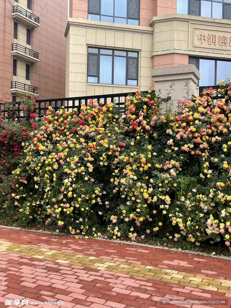 花墙
