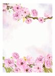 花朵背景