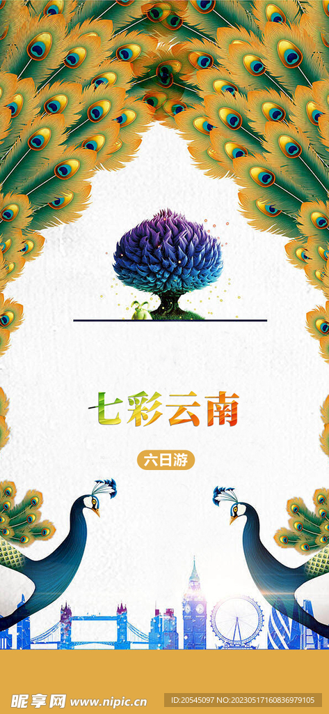 七彩云南孔雀