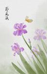 鸢尾花