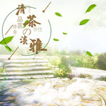 茶叶主图