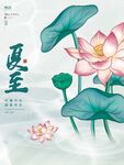 夏至荷塘美景海报