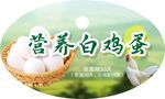 营养白鸡蛋标签