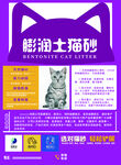 猫砂
