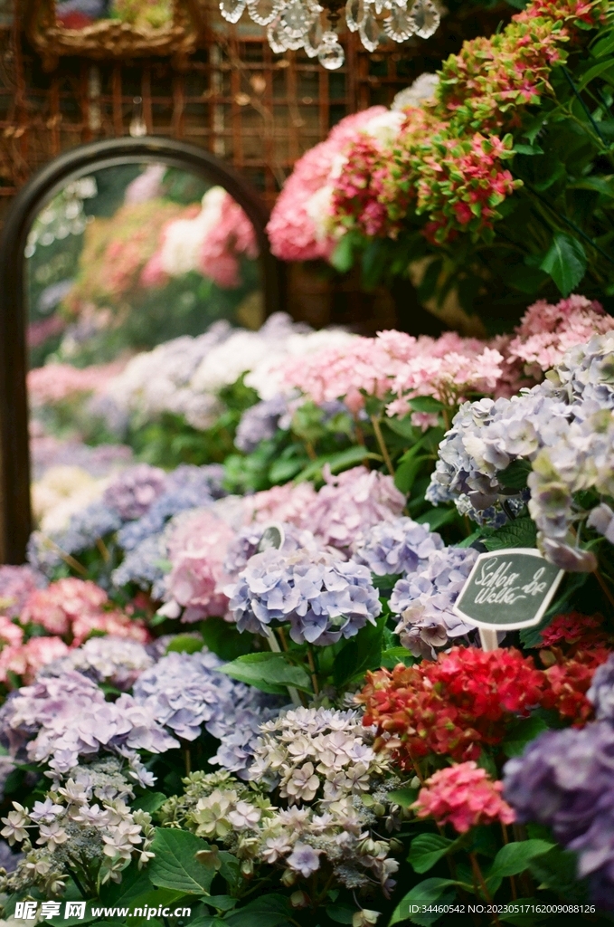 花