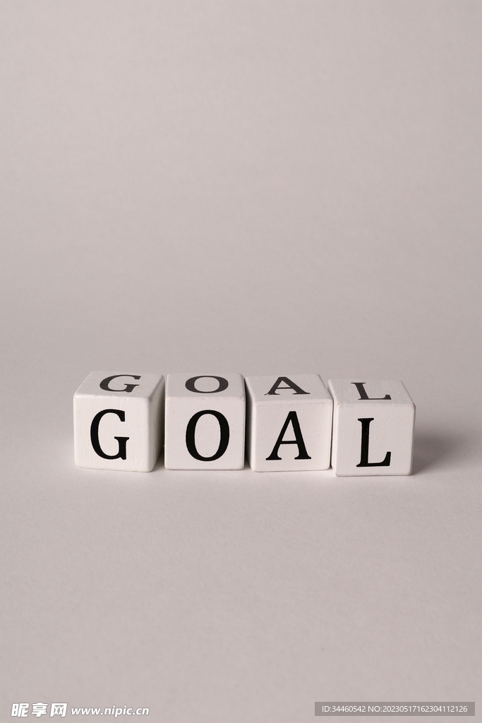 GOAL 目标