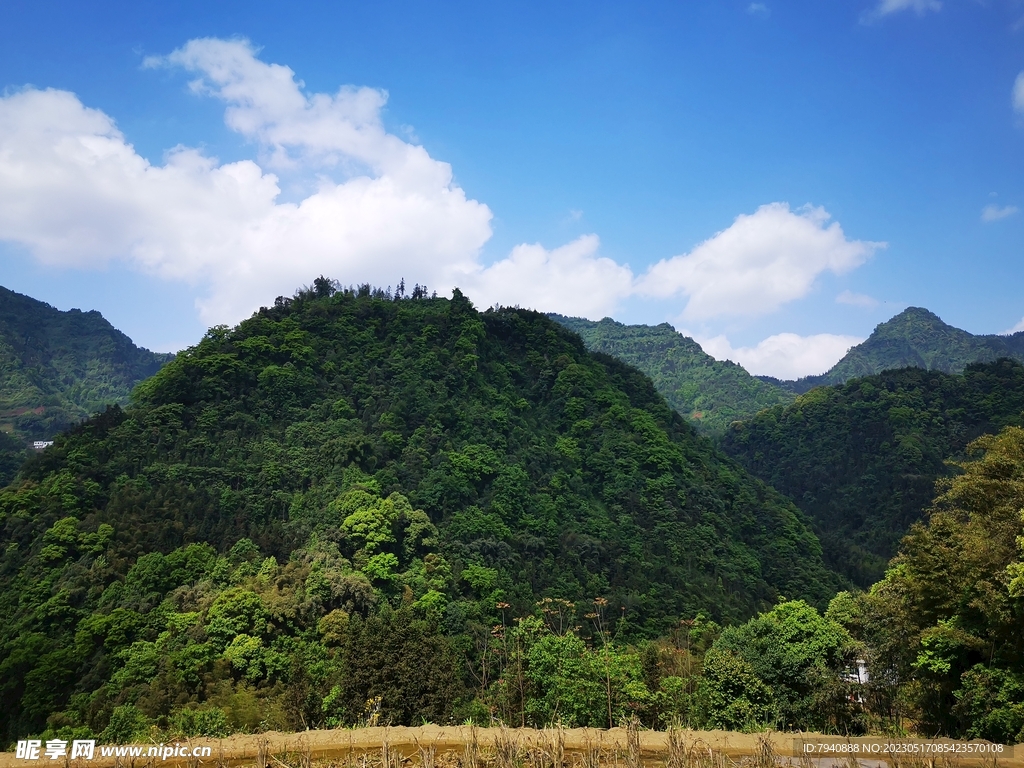 高山
