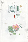 立夏荷花海报