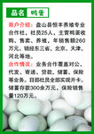鸭蛋介绍