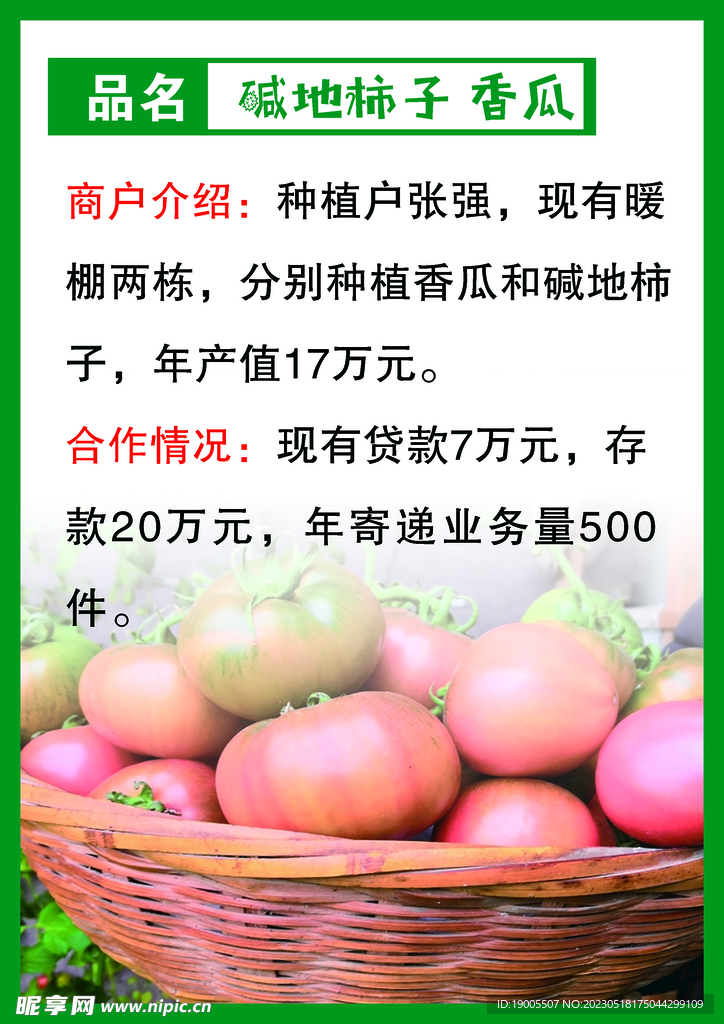 西红柿介绍