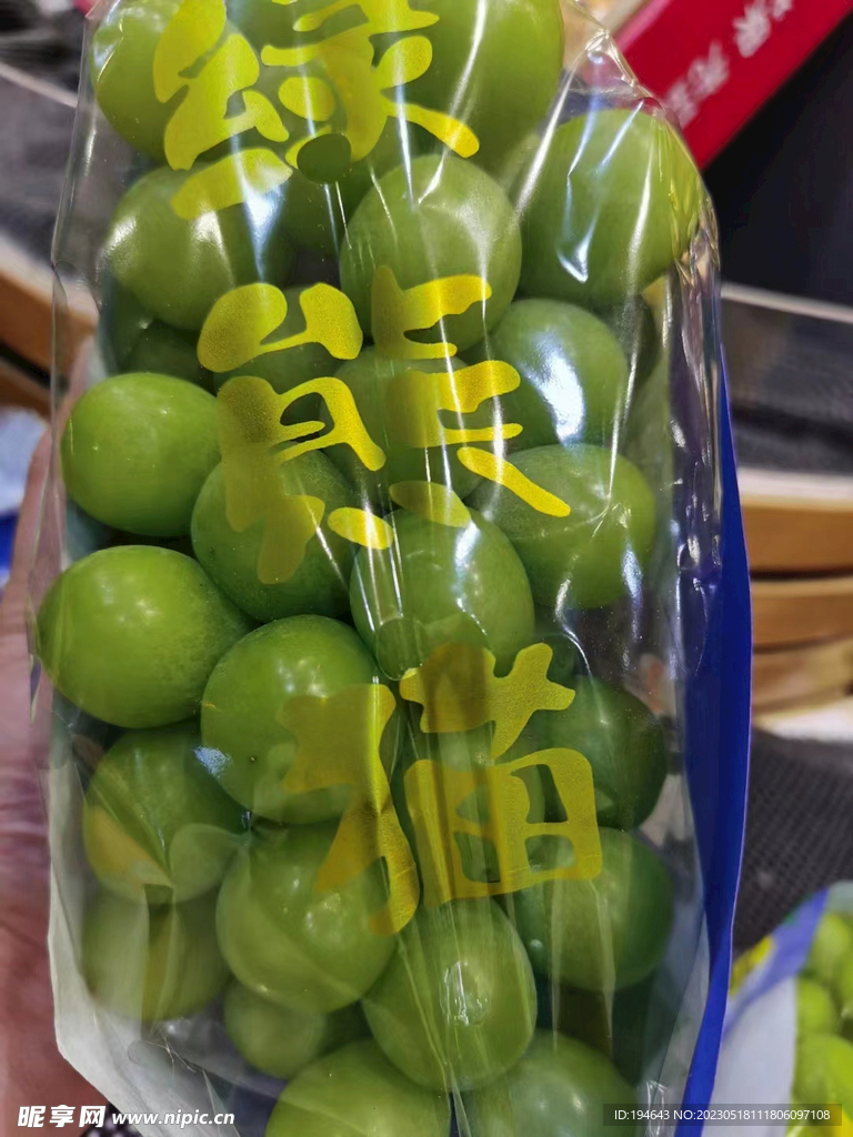 青提 