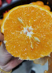 橙子 