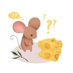 小动物卡片  