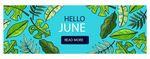 你好6月