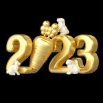3D立体2023