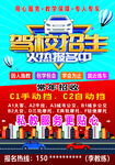 驾校招生