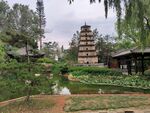 建筑园林唐园