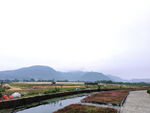 田园风光