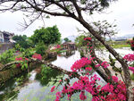 江南水乡美景