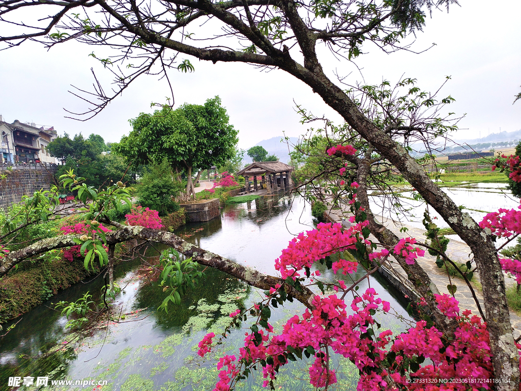 江南水乡美景