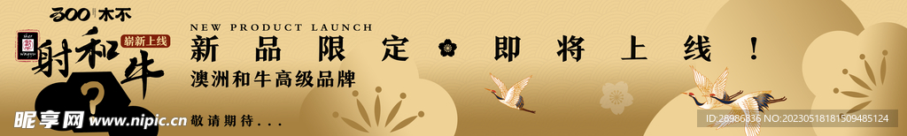 美食轮播