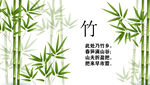 竹