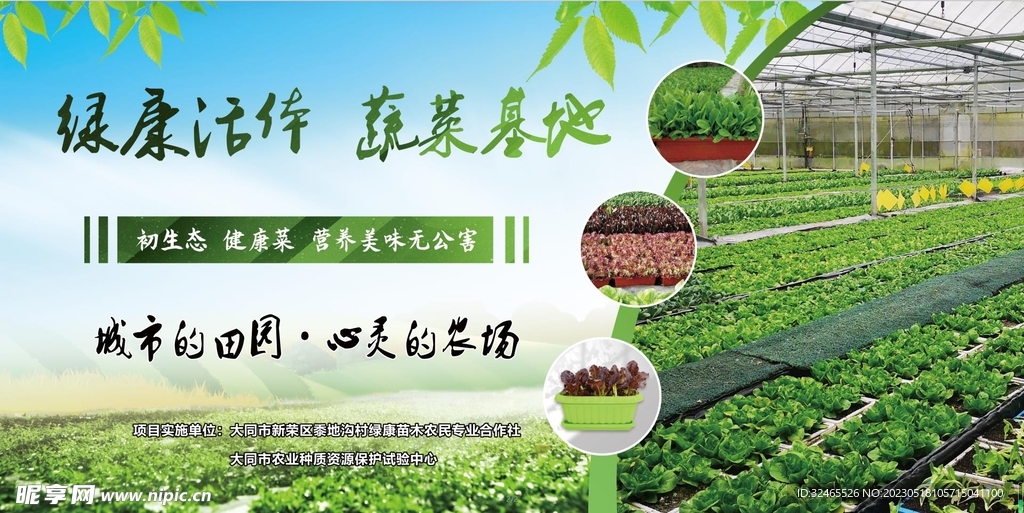 果树果实菜园