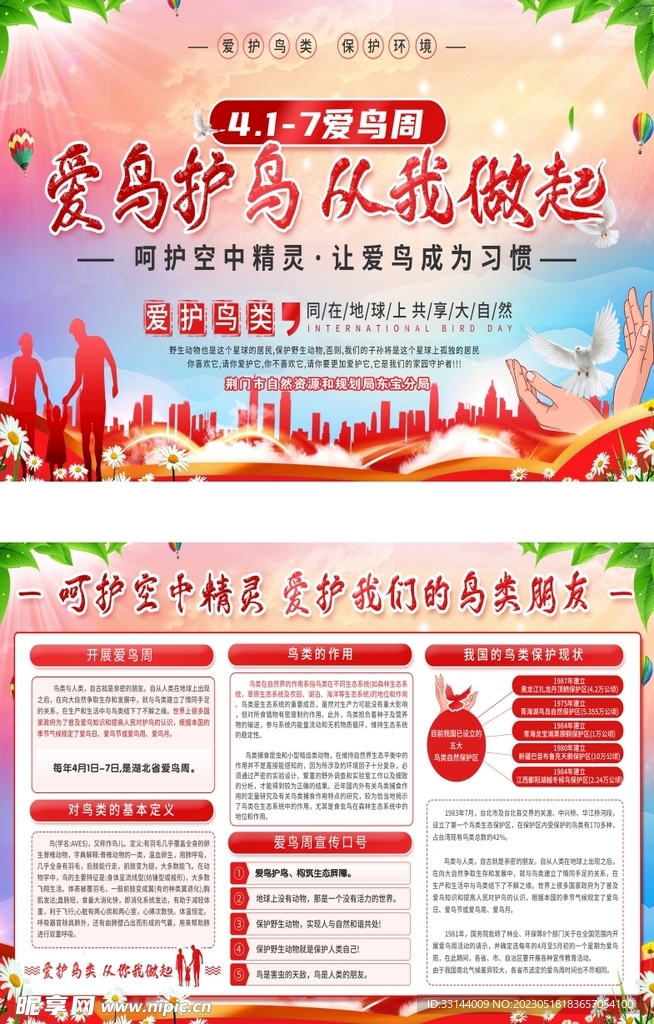 爱鸟护鸟