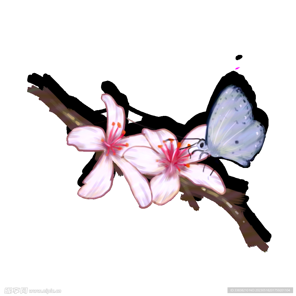  花枝