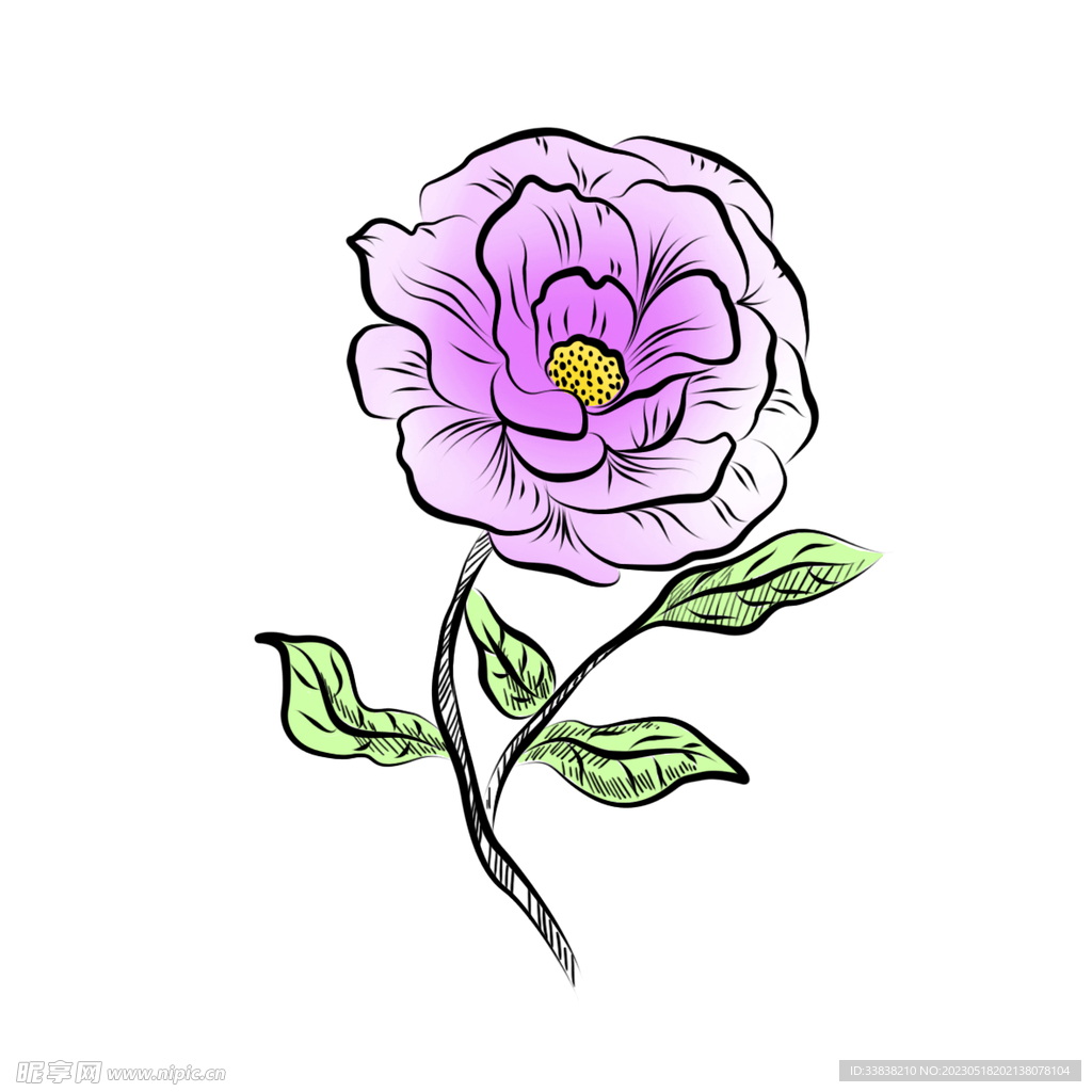 花卉