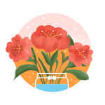 玫瑰花
